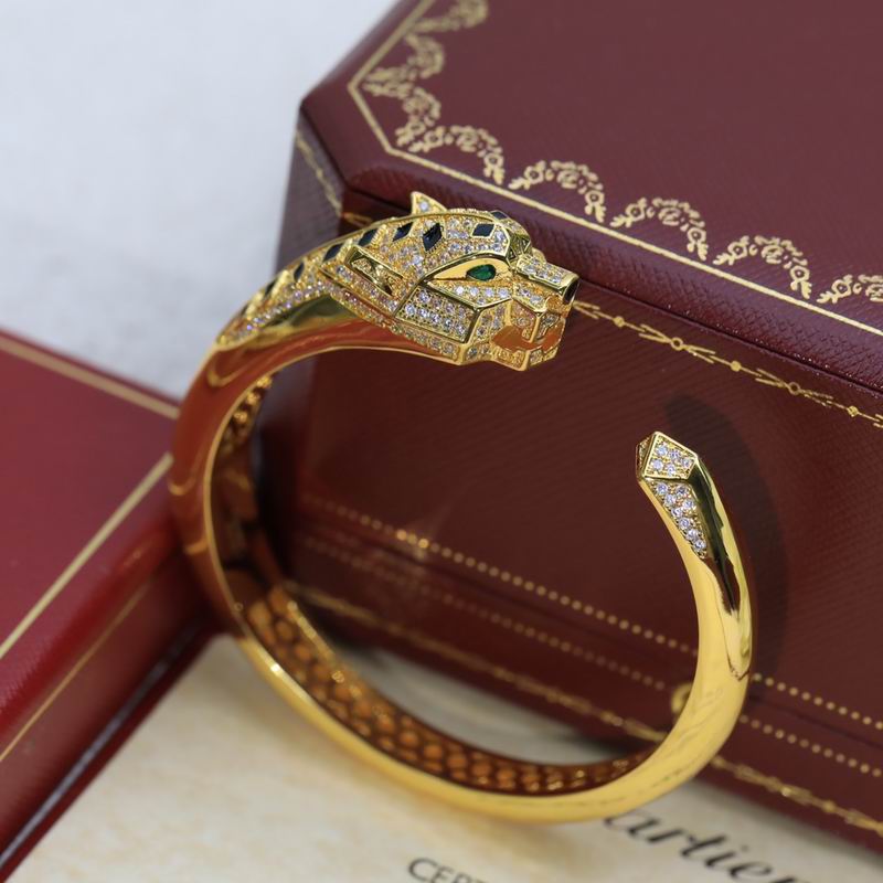 Cartier bracelet 11lyx38 (21)